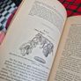 Injurious insects by Ormerod 16th report original Antique book Image 8