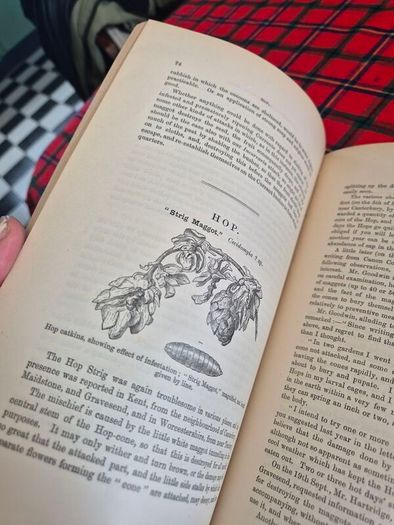Injurious insects by Ormerod 16th report original Antique book