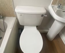 Toilet seat for sale