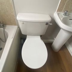 Toilet seat for sale