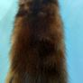 Barnardo's double pelt mink stole Image 6