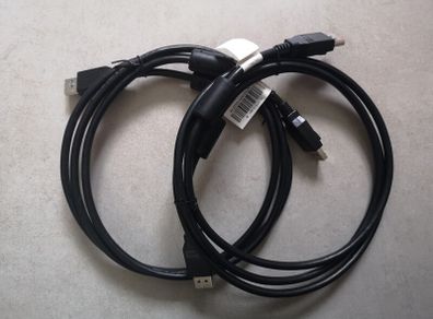 Display port cable