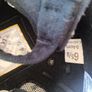 Champion Riding Helmet 54cm xair Image 4