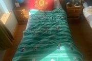 bed mattress and frame