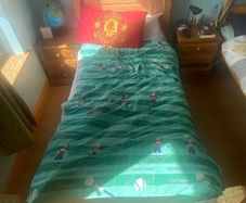 bed mattress and frame