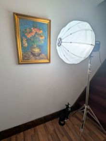 Pro Studio Light with Diffuser & Chrome Stand
