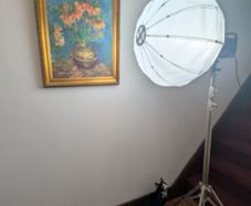 Photography Studio Light with Diffuser & Chrome Stand
