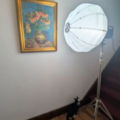 Pro Studio Light with Diffuser & Chrome Stand