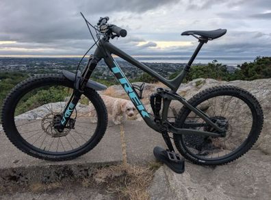 MTB 2021 / 2022 Trek Remedy 8 (XT build) in Matte Olive Grey / Miami Teal.