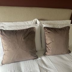 Scatterbox Bellini Mink Velour Cushions Brand New x2