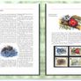 2002 Jersey (Channel Islands) Stamp Year Book (softback) issued by Jersey Post with 16 images of contents Image 9