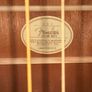 Fender AquGuitar Image 2