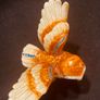 Owl Trinket Box Image 2