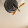 ceiling light. large. Image 6