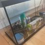 As New Large fish tank Image 2