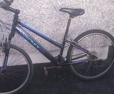adult bike
