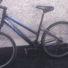 adult bike