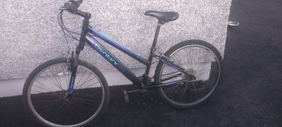 adult bike