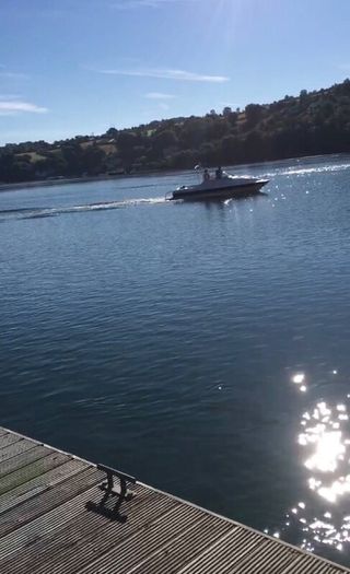 Boat Project Boat Bayliner 1994
