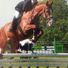Tfreyne