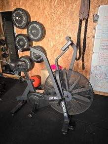 Rogue Echo  Bike