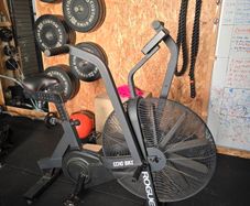 Rogue Echo  Bike