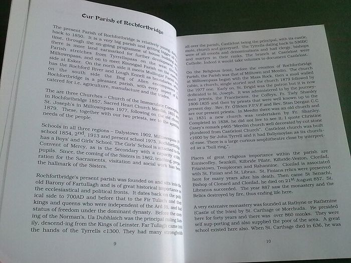 Light from the Bridge Ireland Irish Rochfortbridge Westmeath Genealogy History