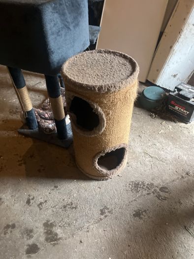 Cat climbers