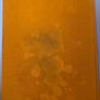 Book of kells - Trinity College, Dublin - Hardcover Henry, Francoise 1974 Image 4
