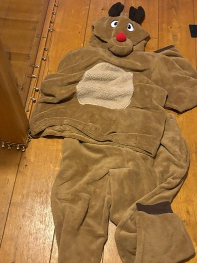 Reindeer Suit