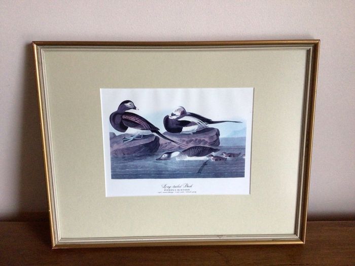 4 large wildfowl prints Framed