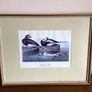 4 large wildfowl prints Framed Image 8