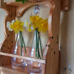 Rustic wall or stand flower / plant propagation