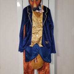 Halloween costume - Roald Dahl Fantastic Mr Fox (Age 9-10)