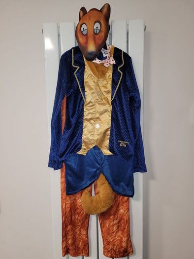 Halloween costume - Roald Dahl Fantastic Mr Fox (Age 9-10)