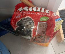 Free bag dog food