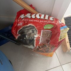 Free bag dog food