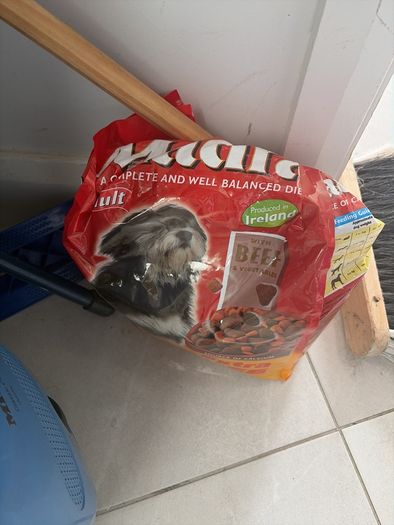 Free bag dog food