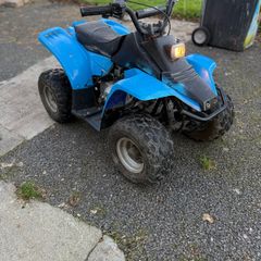 kazuma 50cc quad
