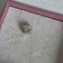 Pandora  Paris travel suitcase charm very good condition hallmarked Image 6