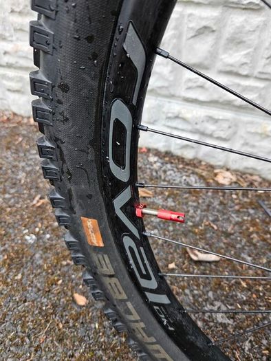 specialized kenevo expert