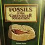 Fossils from the USA Image 4