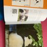 Story of Giant Panda a book full of facts and pictures Image 5