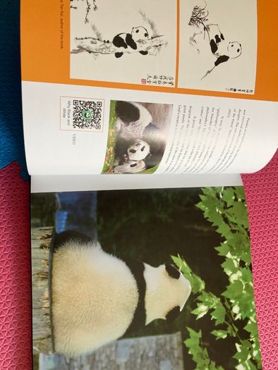 Story of Giant Panda a book full of facts and pictures