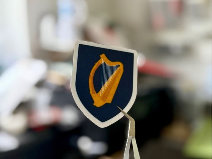 Ireland Coat of Arms Glossy Stickers 2-Pack