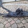 bog oak Image 2