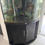 Juwel Trigon 190L Aquarium Image 2
