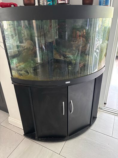 Juwel Trigon 190L Aquarium