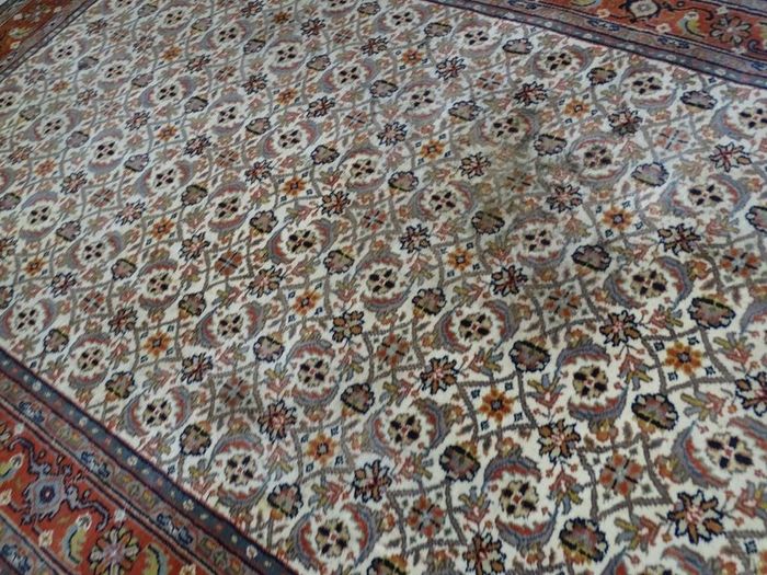 P.ersian Bidjar Rug 2.95 x 1.95m (BJAR)