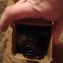 solar Lights Image 3